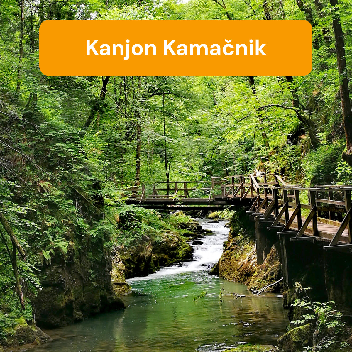 KANJON KAMACNIK 25.04.26